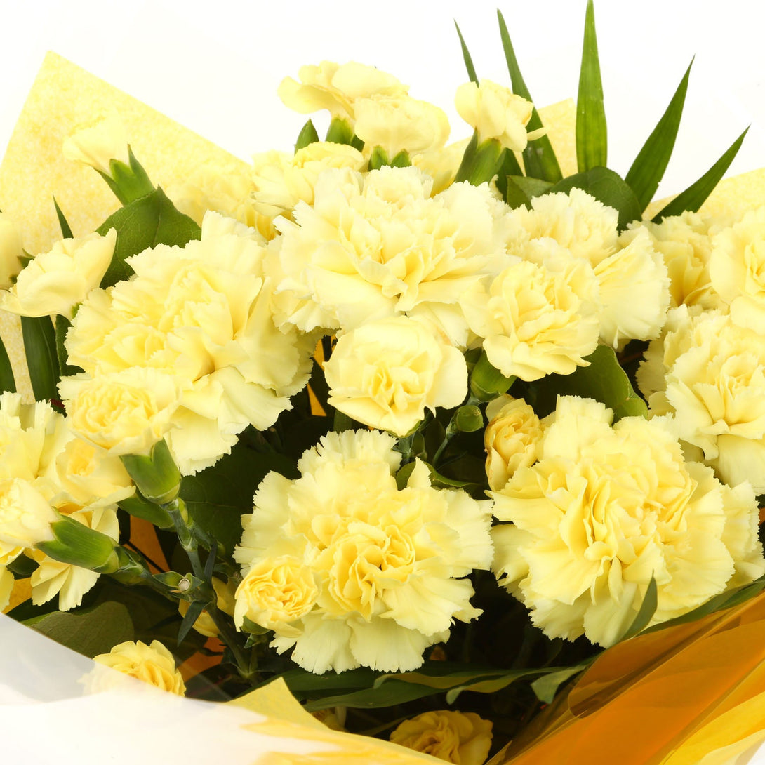 A Beautiful Gold Carnations Melody£17.99