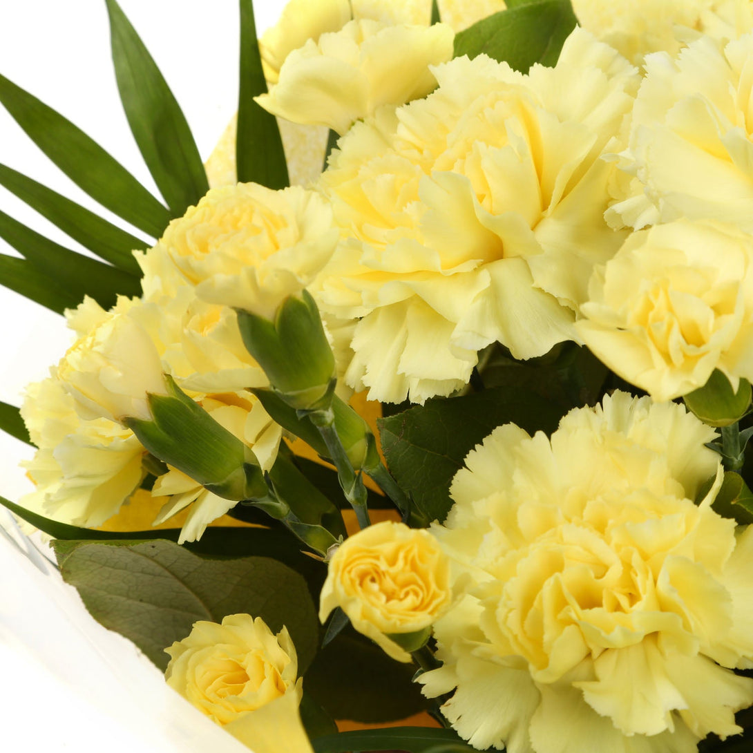 A Beautiful Gold Carnations Melody£14.99