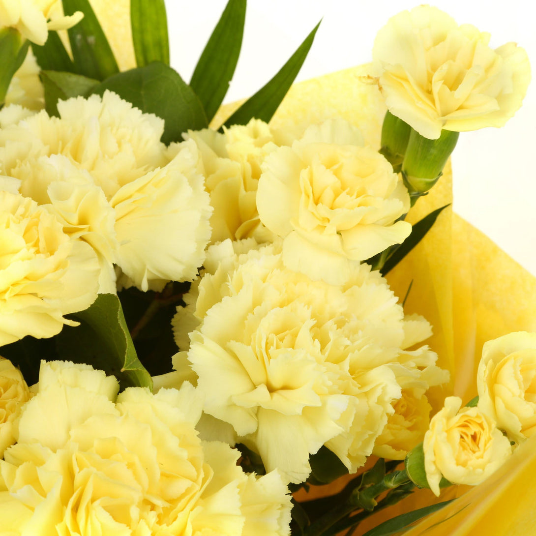 A Beautiful Gold Carnations Melody£14.99