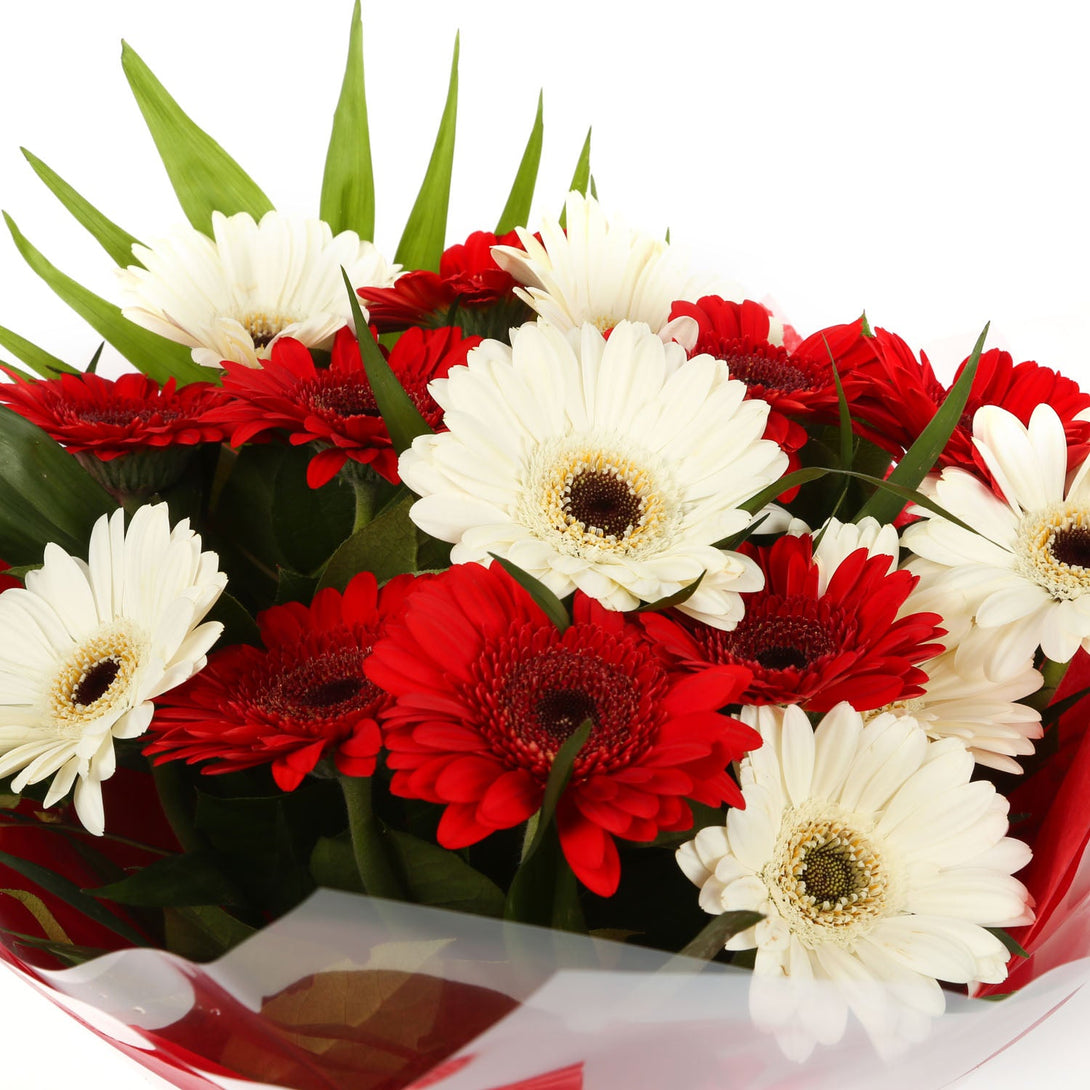 A Happy Gerbera Daisies Bouquet£14.99