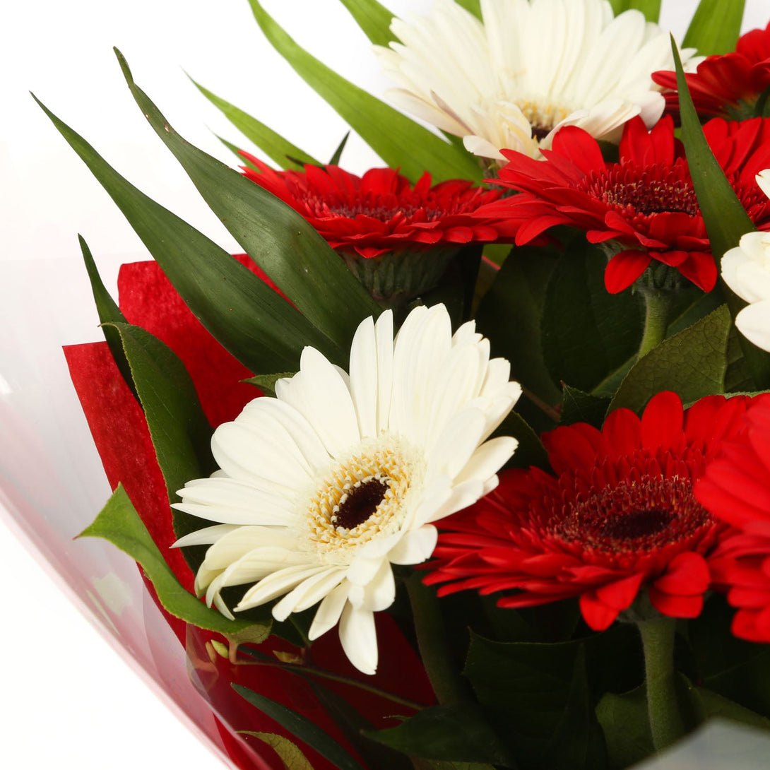 A Happy Gerbera Daisies Bouquet£14.99
