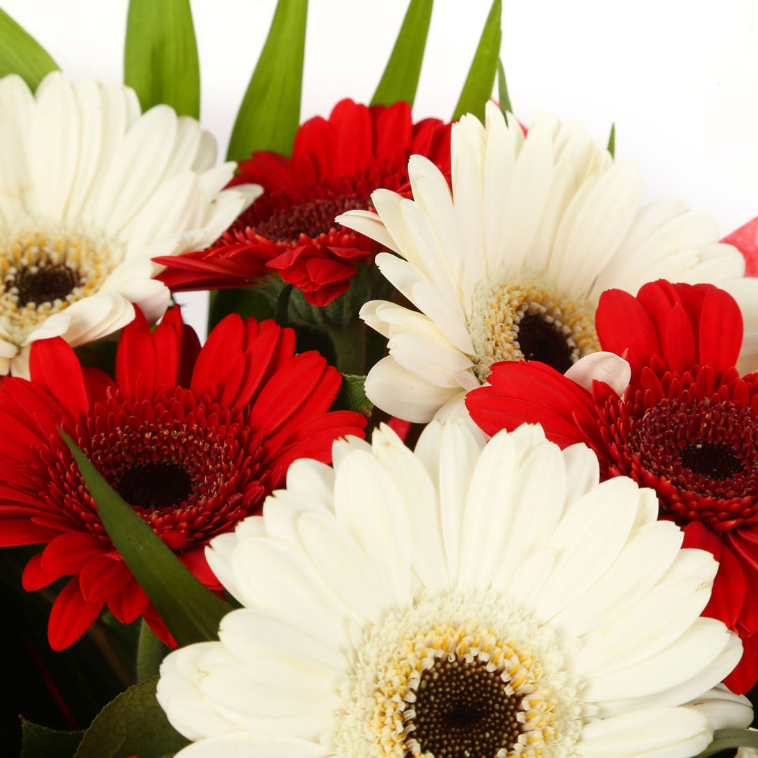 A Happy Gerbera Daisies Bouquet£14.99