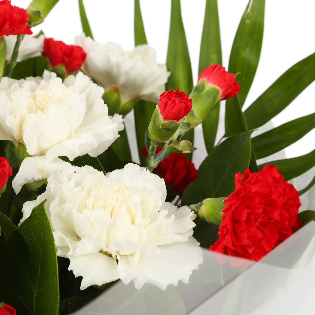 A Red & White Stars Delight£16.99