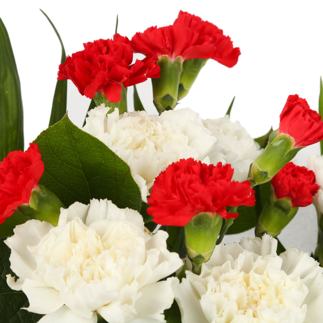 A Red & White Stars Delight£16.99