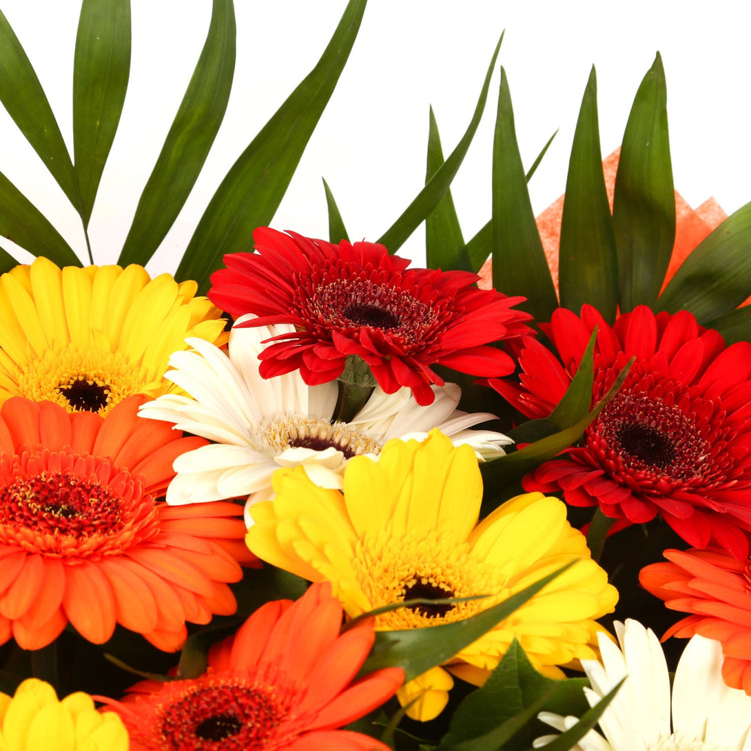 A Gerbera Special Daisy Bouquet & Get Well Balloon£16.99