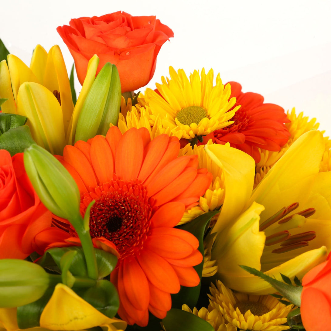 A Cherished Blooms Bouquet£16.99