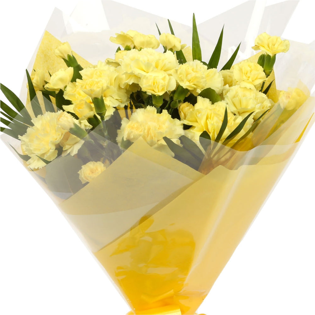 A Beautiful Gold Carnations Melody£14.99