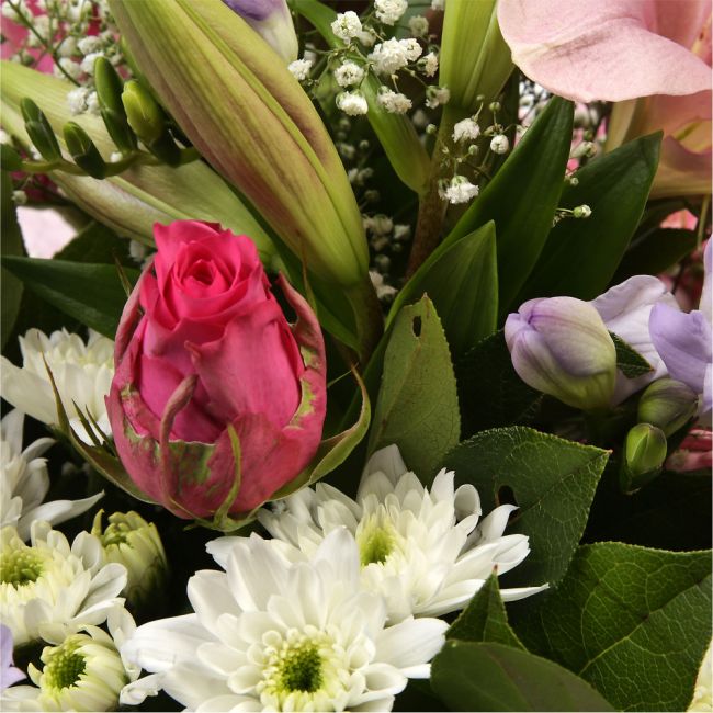 Pink Radiance Bouquet£16.99