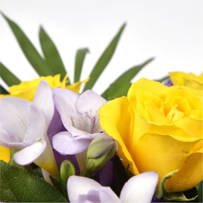 Pretty Scented Roses & Freesias£16.99