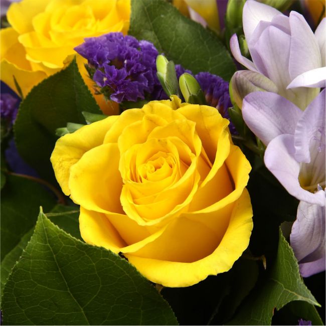 Pretty Scented Roses & Freesias£16.99