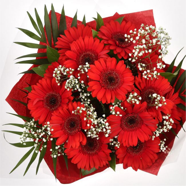 Red Glamour Gerberas£16.99