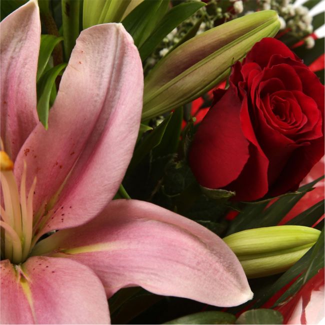Special Rose and Lily Bouquet£16.99