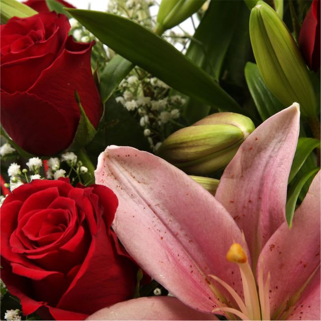 Special Rose and Lily Bouquet£16.99