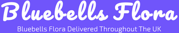 Bluebellsflorist