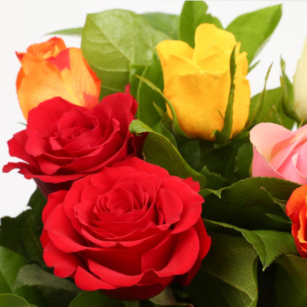Multicolour Roses Bouquet£20.99