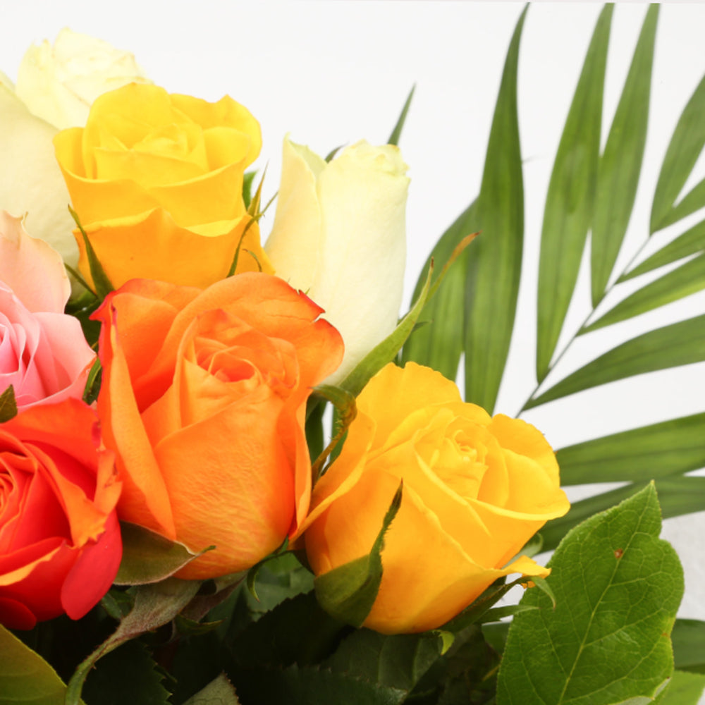 Multicolour Roses Bouquet£20.99